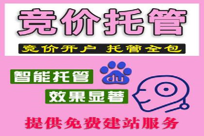 揭秘百度竞价代理：实战案例分析